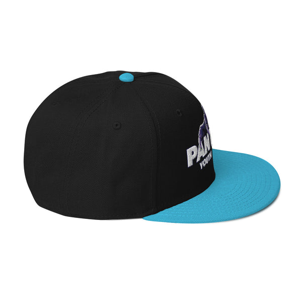 Nashville Panthers Snapback Hat - Flick & Tea