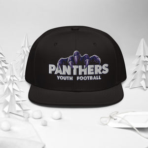 Nashville Panthers Snapback Hat - Flick & Tea